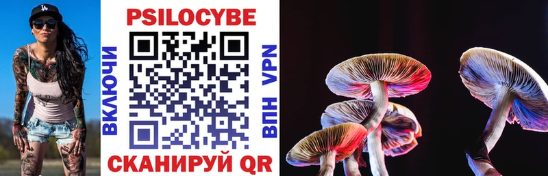 Псилоцибиновые грибы Psilocybe наркота Иваново